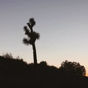 Meet your Posher, Joella